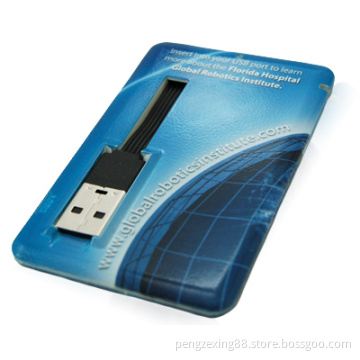 Slim Style Custom Card Shape USB Flash Drive with 2GB Capacity